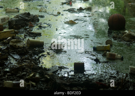 Die verlassene Bahnstrecke, bekannt als die "Bronx Sumpf" ist im Stadtteil Mott Haven in der Bronx in New York gesehen. Stockfoto