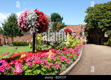 Blumenbeete auf dem Gelände des Shrewsbury Castle Stockfoto