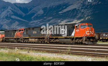 Canadian National Zug ziehen in Jasper Hof West gebunden, mit einem Stockfoto