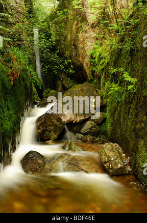 Dungeon Ghyll Kraft, Great Langdale, englischen Lake District Stockfoto