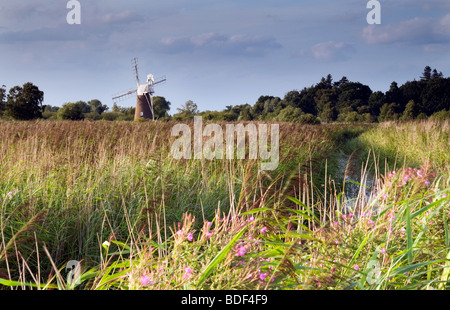 Turf Moor Windpumpe auf dem Fluss Ant, Norfolk Broads Stockfoto