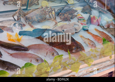 Frischen Fisch zur Auswahl von Diners im chill Zähler vor Restaurant in Katelios auf der griechischen Insel Kefalonia angezeigt Stockfoto