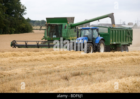 Ernte von Gerste Stockfoto