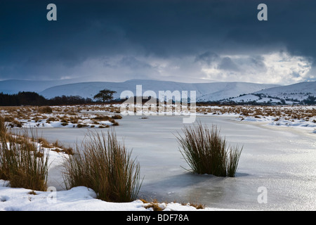 Pen y Fan & Mais Du Berge von Mynydd Illtyd gemeinsamen Brecon Beacons Powys Wales Stockfoto