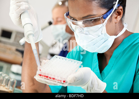 Eine asiatische medizinische oder wissenschaftliche Forscher oder Arzt arbeitet mit einer Pipette, Blutproben und ein gut Tablett in einem Labor Stockfoto