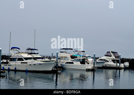 Eine Marine im Nebel in Port Townsend, Washington, USA Stockfoto