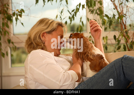 Frau und Cavalier King Charles Spaniel Stockfoto