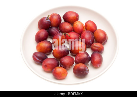 "White Plate' voll"Englische Pflaumen" Stockfoto