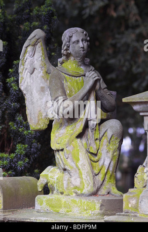 Beten, kniende Engel auf einem steinernen Grab, alten Friedhof, Bonn, Nordrhein-Westfalen, Deutschland, Europa Stockfoto