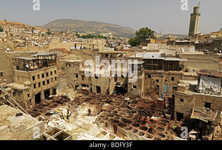 Blick in eine Gerberei Souks in der Medina von Fes/Fez sind am 19. August 2009 in Marokko in Nordafrika abgebildet. Stockfoto