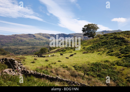 Bethania Gwynedd Nordwales UK. Country-Szene in Snowdonia "Nationalpark" Berge im Sommer Stockfoto