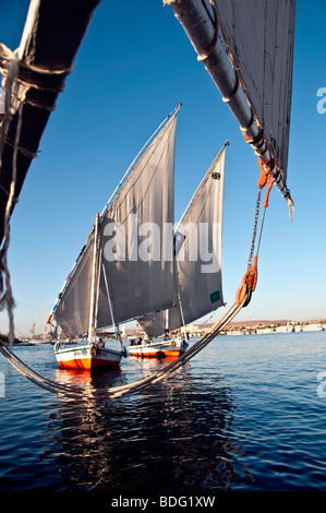 Feluke traditionelle hölzerne Segelboote Nile River Assuan Ägypten latinischem Segel Stockfoto