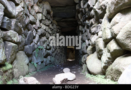 Einfahrt nach unten ins Souterrain in Drumena Cashel beringten Steinkastell Grafschaft unten Nordirland Vereinigtes Königreich Stockfoto