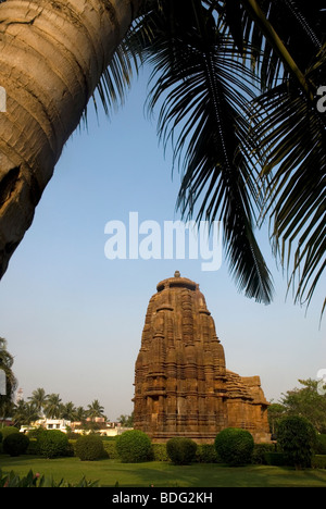 Rajarani Tempel. Bhubaneswar, Orissa, Indien. Stockfoto