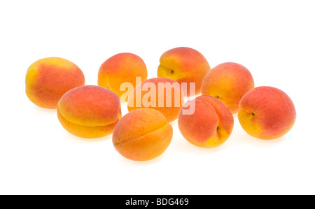 frische Aprikosen Ausschnitt weißen Hintergrund Studio gedreht Essen Obst süße frische orange rot gelb nur Pur Französisch viele Multi viel einige Stockfoto
