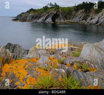 Höhle und orangefarbenen Flechten auf Klippen im Smugglers Cove Provincial Park St. Mary's Bay Atlantic coast Nova Scotia Kanada Stockfoto