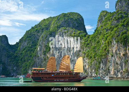 Chinesischen Stil Dschunken angedockt in Halong Bucht, Vietnam Stockfoto