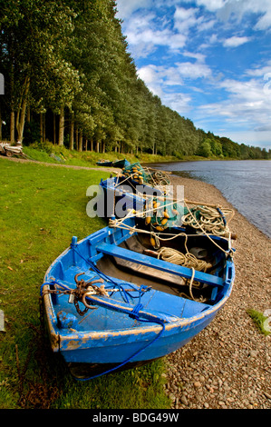 Traditionelle Lachs Angelboote/Fischerboote im Paxton House auf dem Fluss Tweed. Stockfoto