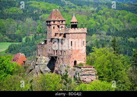 Burg Berwartstein Burg, Erlenbach, Naturpark Pfaelzerwald Naturschutzgebiet, Pfalz, Rheinland-Pfalz, Deutschland, Europa Stockfoto