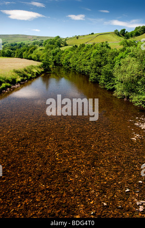 Fluß Swale bei Low Row an einem ruhigen Sommertag. Yorkshire Dales National Park. Stockfoto