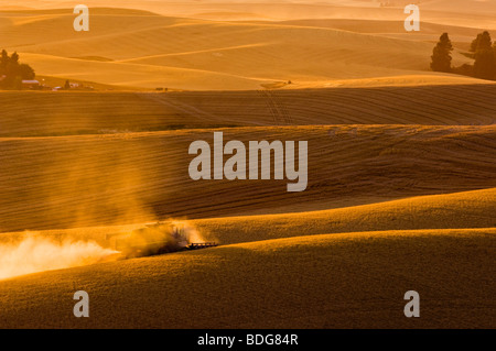 John Deere Mähdrescher erntet weichen weißen Weizen auf sanften Hang Gelände bei Sonnenuntergang / Palouse Region, in der Nähe von Pullman, Washington. Stockfoto