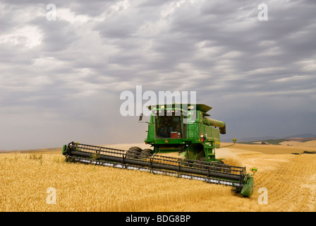 John Deere Mähdrescher erntet weichen weißen Weizen auf hügeliges Gelände Hang / Palouse Region, in der Nähe von Pullman, Washington, USA. Stockfoto