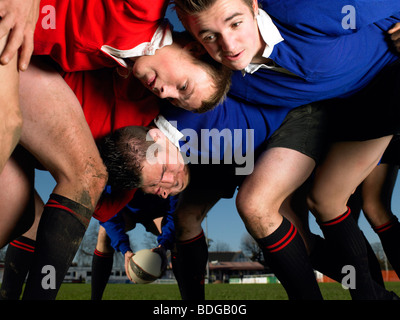 Rugby-Spieler in einem scrum Stockfoto