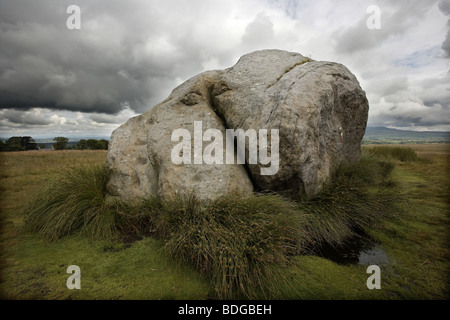 Die großen Stein, der großen Stein von Fourstones, bedeckt in Antike und moderne Graffiti, Tatham Fells, Lancashire. Stockfoto