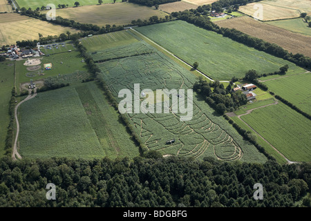 Die York Mais Labyrinth. Das Bild eines Astronauten schneiden in einem Feld von Mais jährt sich zum 40. Mal der 1. Mondlandung von Apollo Stockfoto