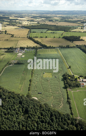 Die York Mais Labyrinth. Das Bild eines Astronauten schneiden in einem Feld von Mais jährt sich zum 40. Mal der 1. Mondlandung von Apollo Stockfoto