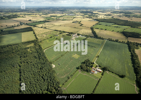 Die York Mais Labyrinth. Das Bild eines Astronauten schneiden in einem Feld von Mais jährt sich zum 40. Mal der 1. Mondlandung von Apollo Stockfoto