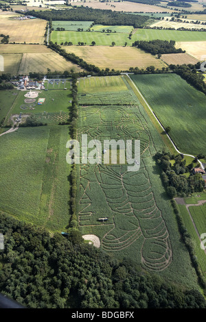 Die York Mais Labyrinth. Das Bild eines Astronauten schneiden in einem Feld von Mais jährt sich zum 40. Mal der 1. Mondlandung von Apollo Stockfoto