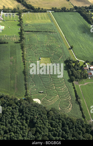 Die York Mais Labyrinth. Das Bild eines Astronauten schneiden in einem Feld von Mais jährt sich zum 40. Mal der 1. Mondlandung von Apollo Stockfoto