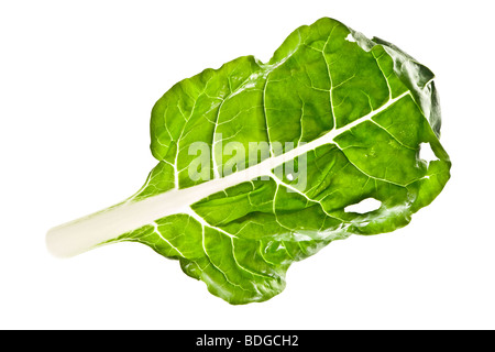 Blatt des Bok Choy isoliert Stockfoto