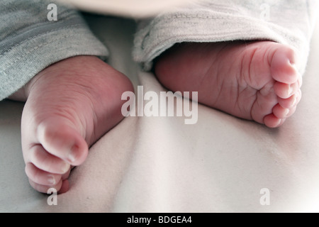 Ein neugeborenes Baby jungen Füßen zusammengerollt Stockfoto