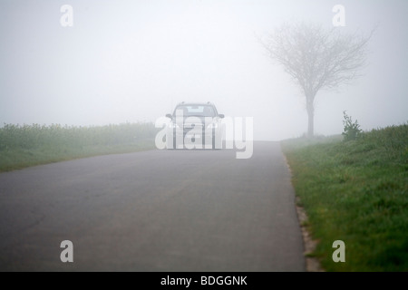 Autofahren im Nebel Stockfoto