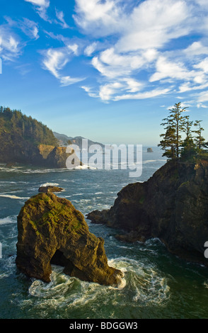 Oregon Küste südlich von natürlichen Brücken Aussichtspunkt, Samuel H. Boardman State Park. Stockfoto