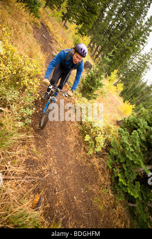 Ein Mann-Mountainbiken auf einem bewaldeten Pfad in Jackson Hole, Wyoming. Stockfoto