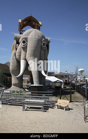 Lucy der Elefant aus direkt vor. Stockfoto