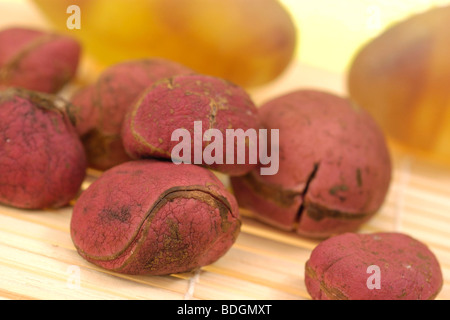 COLA NUSS FRUCHT Stockfoto