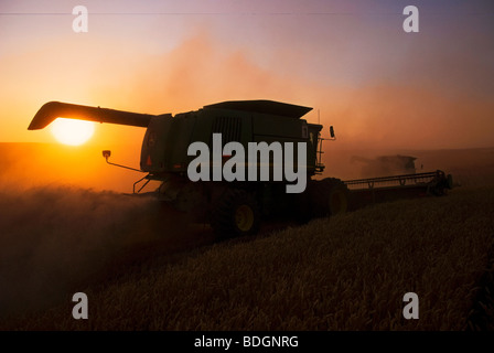 John Deere Mähdrescher erntet weichen weißen Weizen auf sanften Hang Gelände bei Sonnenuntergang / Palouse Region, in der Nähe von Pullman, Washington. Stockfoto