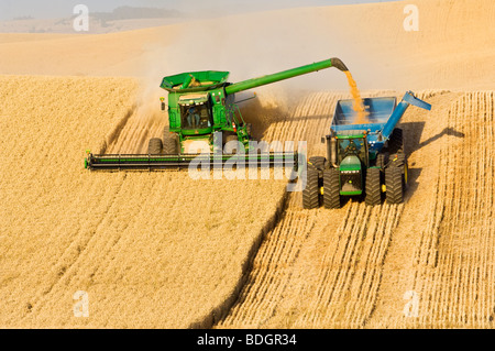 John Deere Mähdrescher ernten weichen weißen Weizen auf hügeliges Gelände Hügel und entlädt in einer Korn-Wagen "on-the-Go" / USA. Stockfoto