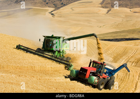 John Deere Mähdrescher ernten weichen weißen Weizen auf hügeliges Gelände Hügel und entlädt in einer Korn-Wagen "on-the-Go" / USA. Stockfoto