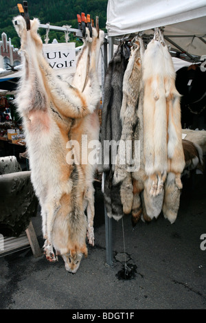 Bergen: Torget Fischmarkt: Wölfe Pelz Mäntel Skins Stockfoto