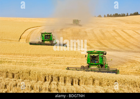 Drei John Deere verbindet Ernte weichen weißen Weizen auf sanften Hang Gelände unter staubigen Bedingungen / Washington, USA. Stockfoto