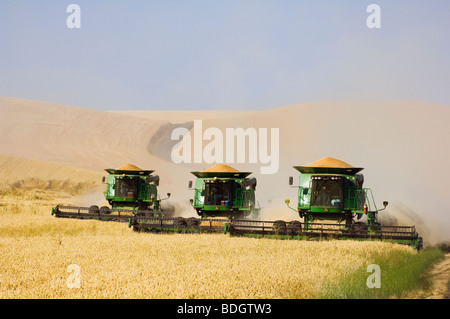 Drei John Deere verbindet Ernte weichen weißen Weizen im tandem am sanften Hang Gelände unter staubigen Bedingungen / Washington, USA. Stockfoto