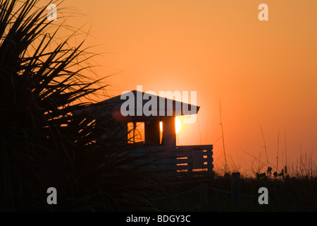 Palmen, die Silhouette von orange untergehenden Sonne in Venedig auf dem Südwesten Golfküste von Florida Stockfoto