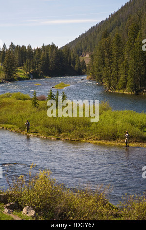 Angeln in der Madison River in Montana Stockfoto