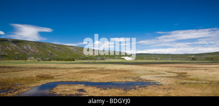 Panorama des Yellowstone National Park in Wyoming USA Stockfoto