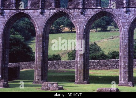 Llanthony Priory Kirchenschiff Bögen Hatterall Grat im Hintergrund Monmouthshire South Wales UK Stockfoto